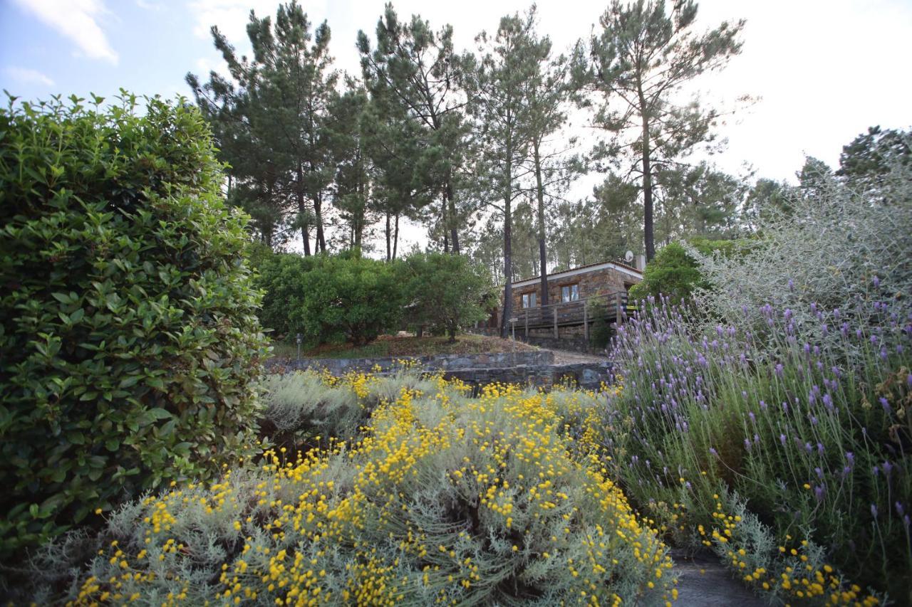Rosmaninhal  Apartamentos Rurais - Casas Do Lagar מראה חיצוני תמונה