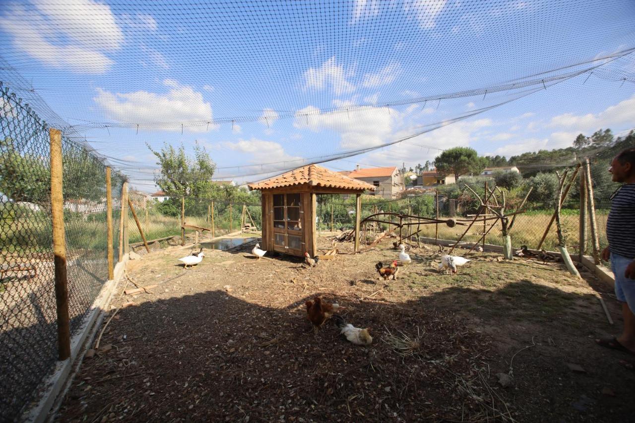 Rosmaninhal  Apartamentos Rurais - Casas Do Lagar מראה חיצוני תמונה